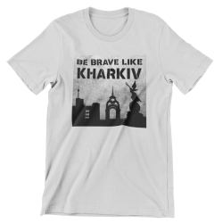 Футболка оверсайз 'Be brave like Kharkiv' 2 сіра